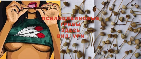 героин Алзамай