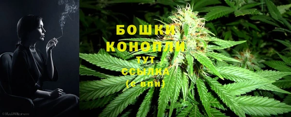 шишки Семилуки